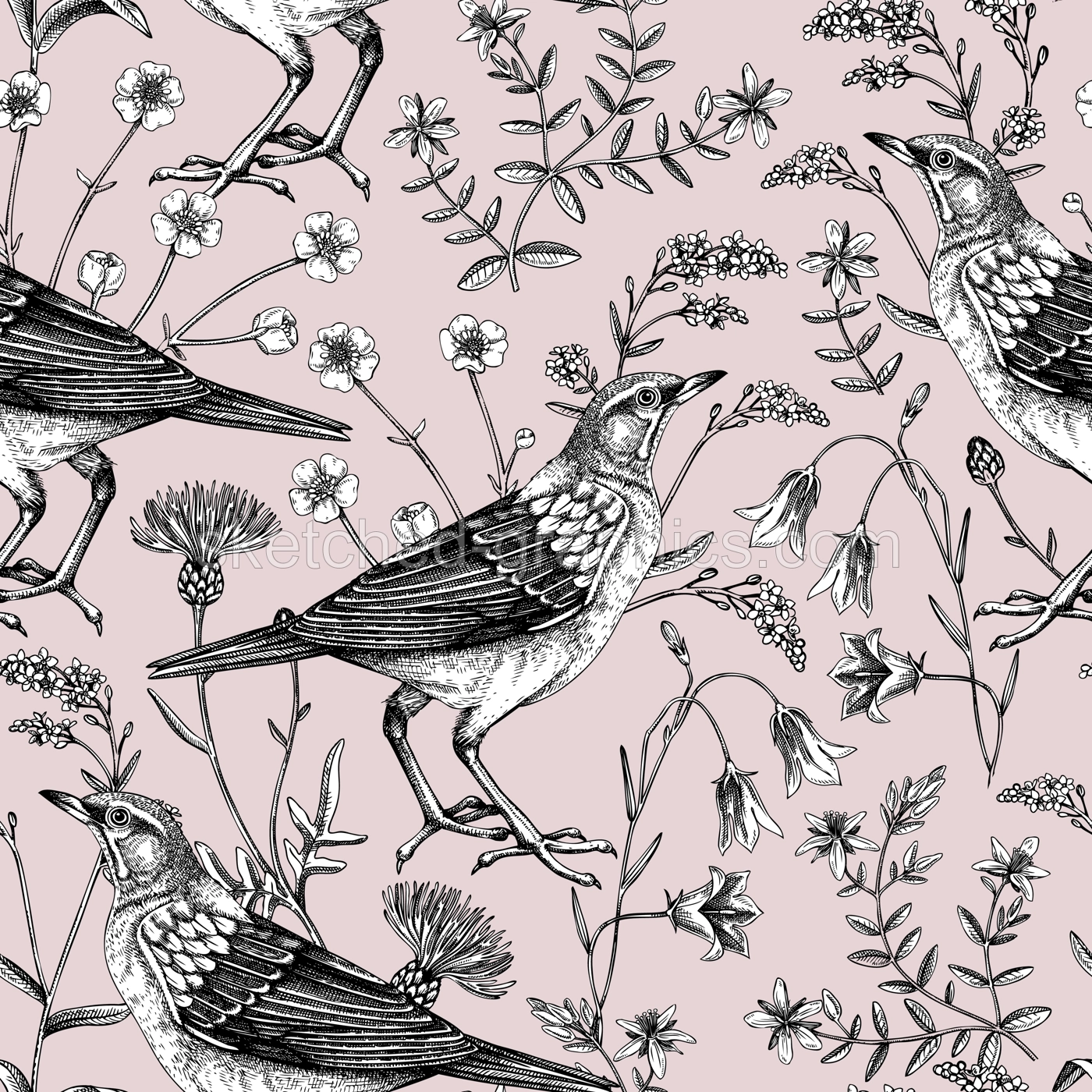 Summer background. Floral seamless pattern. Wildflowers and birds vector illustration in sketch style. Perfect for textile, wrapping paper, packaging, fabrics. Illustration